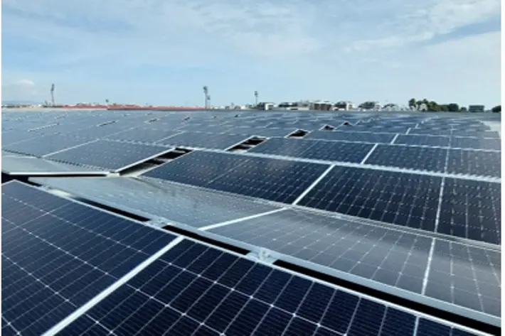 Salera refuerza su compromiso ecológico con nuevas iniciativas sostenibles